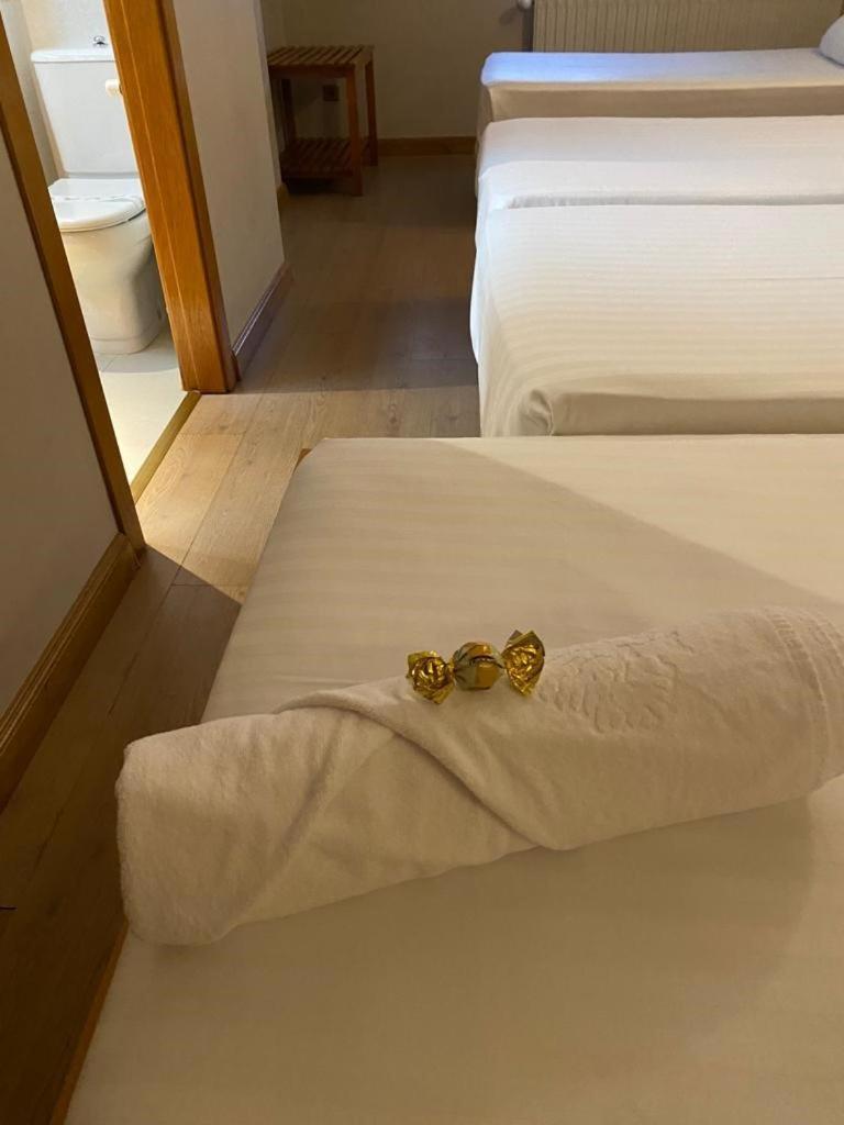 Quadruple Room,1553045890:JPEG